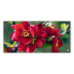 Postkarte | Rote Blüte